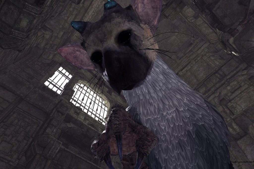last guardian, VR