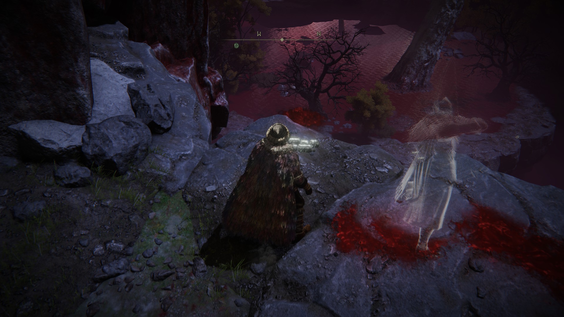 Screenshot from Elden Ring: a player character observes a large crow patrolling a lake of blood from the other side of a ravine.