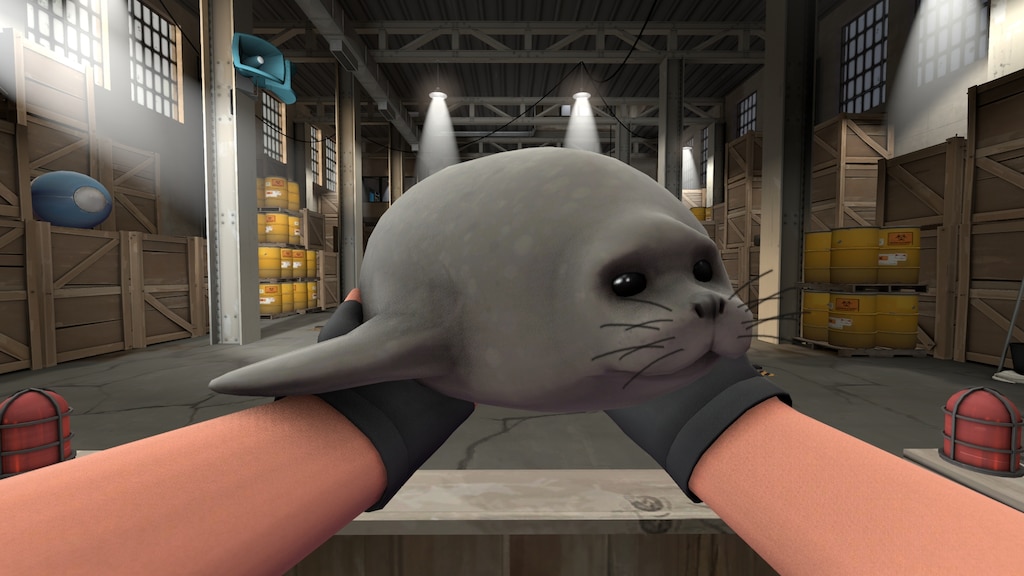 A first person perspective of a pair of outstretched, gloved hands holding a small gray seal. 